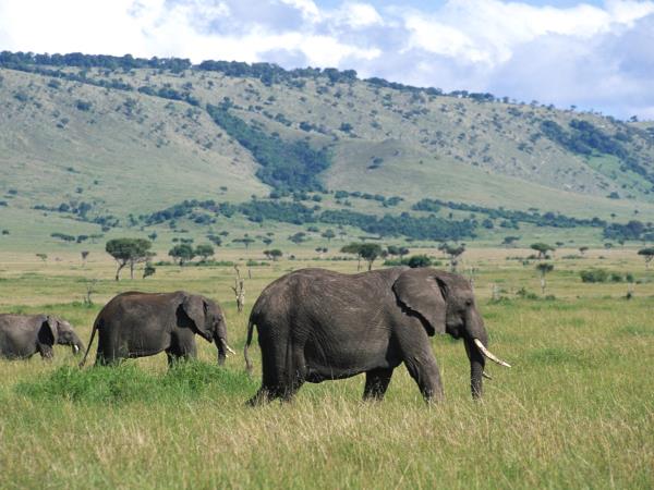 Nairobi To Dar Es Salaam overland tour