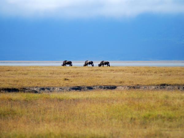 Nairobi To Dar Es Salaam overland tour