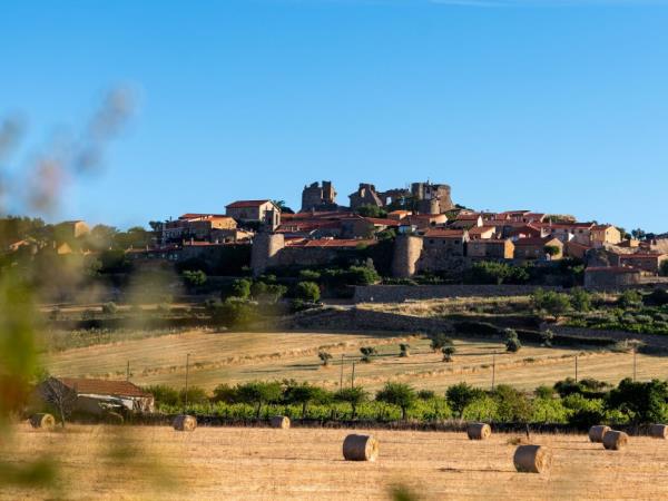 Cycle the Douro Valley, Portugal