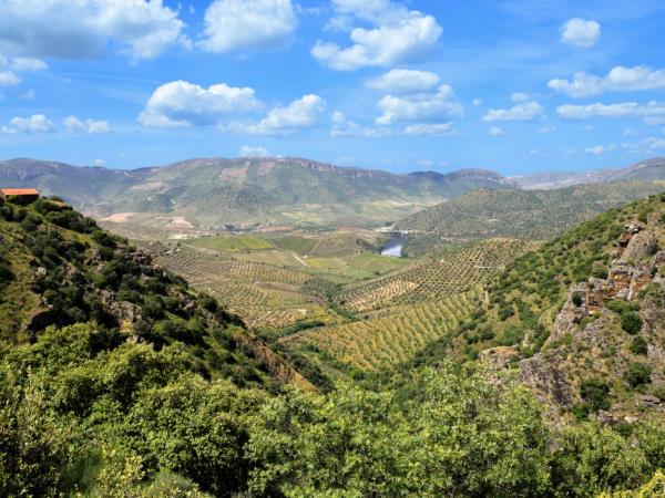 Cycle the Douro Valley, Portugal
