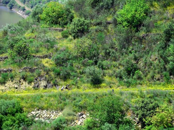 Cycle the Douro Valley, Portugal
