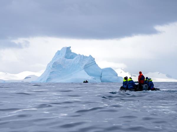 Whale watching and wildlife cruise in Antarctica