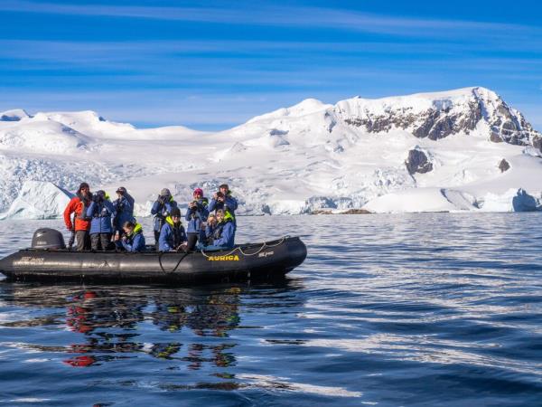 Whale watching and wildlife cruise in Antarctica