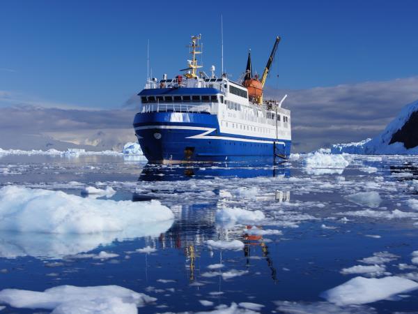Whale watching and wildlife cruise in Antarctica