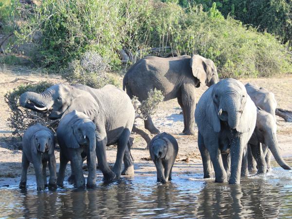 Overland tour from Victoria Falls to Cape Town