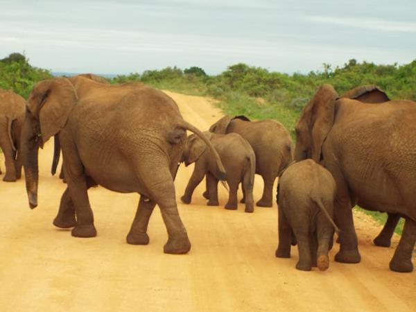 Victoria Falls to Johannesburg overland tour