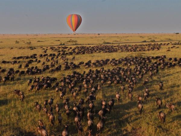 Kenya safari and beach family holiday
