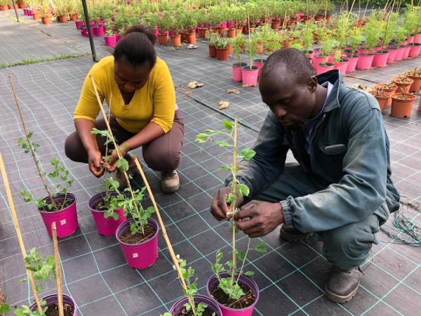Sustainable farming holiday in Italy