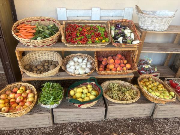 Sustainable farming holiday in Italy