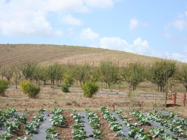 Sustainable farming holiday in Italy