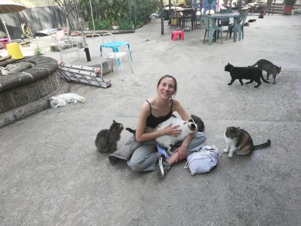 Animal welfare and cat rescue in Italy