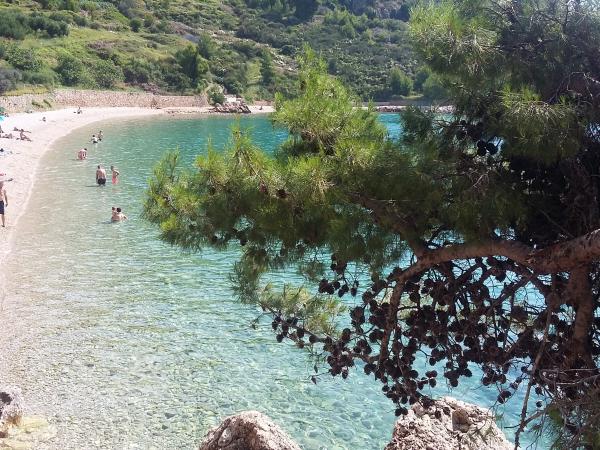 Volunteering holiday with horses in Croatia