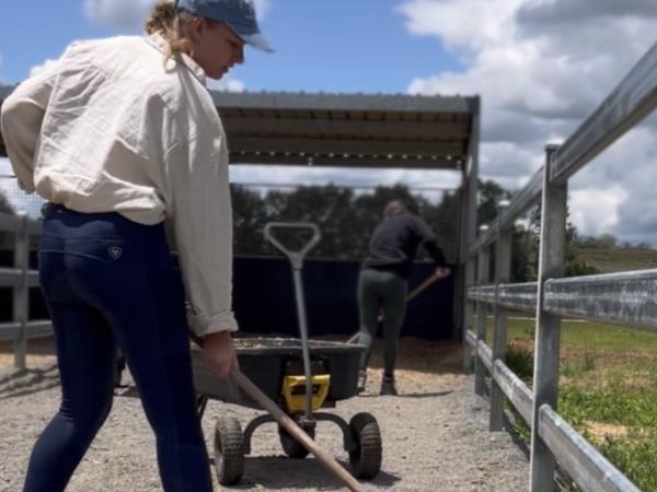 Volunteering holiday with horses in Croatia