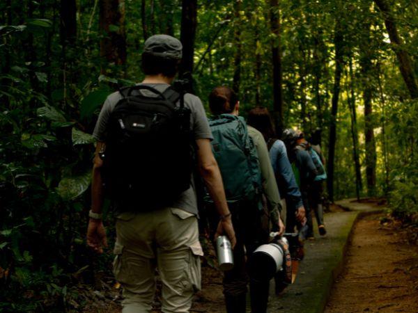 Amazon Rainforest luxury wildlife lodge, Ecuador