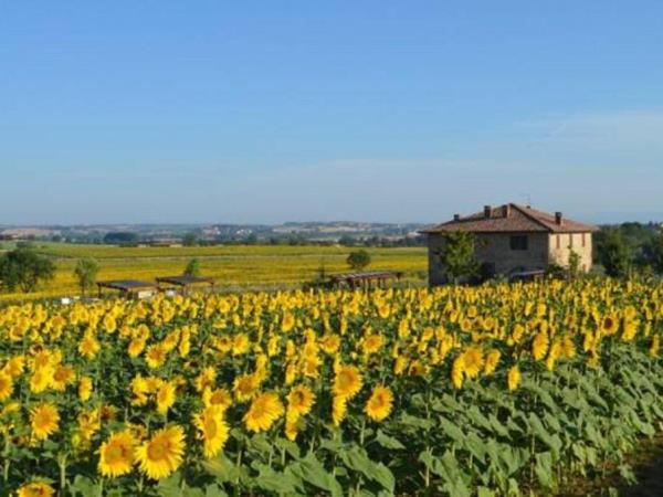 Tuscany culture holiday