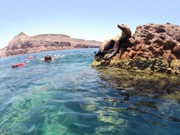 Baja California self drive holiday