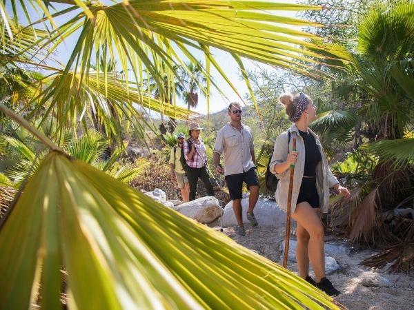 Baja California self drive holiday