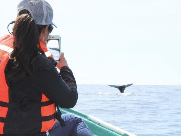 Baja California self drive holiday