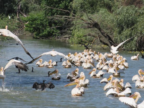 Romania's natural wonders holiday, small group