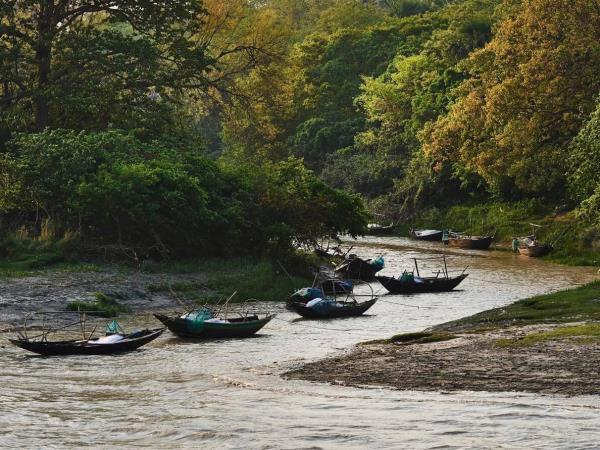 Hooghly and Sundarbans river cruise in India