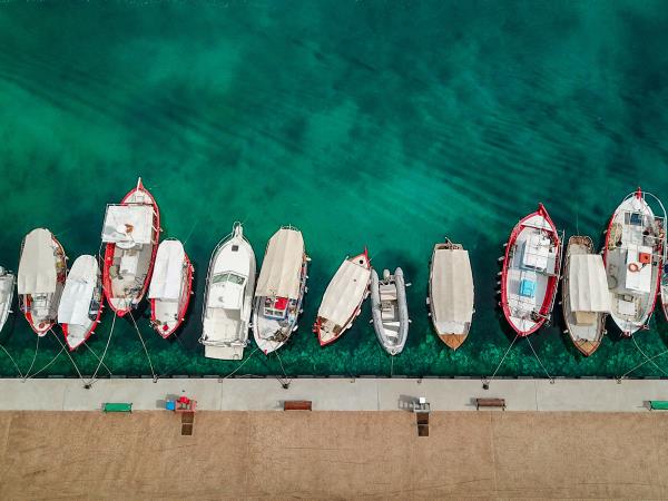 Marine conservation volunteering in Greece