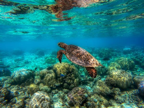 Maldives cultural experience holiday