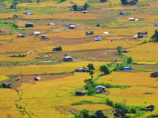 Sabah and Sarawak tailor made holiday