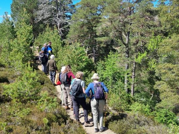 Rewilding holiday in Cairngorms