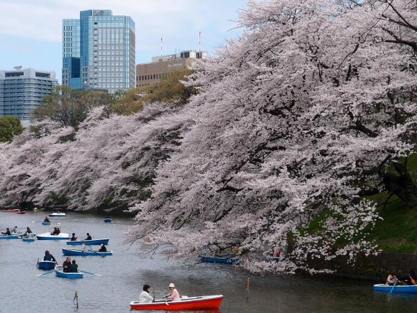 Japan Tour Of Honshu Island Responsible Travel japan-tour-of-honshu-island-responsible-travel