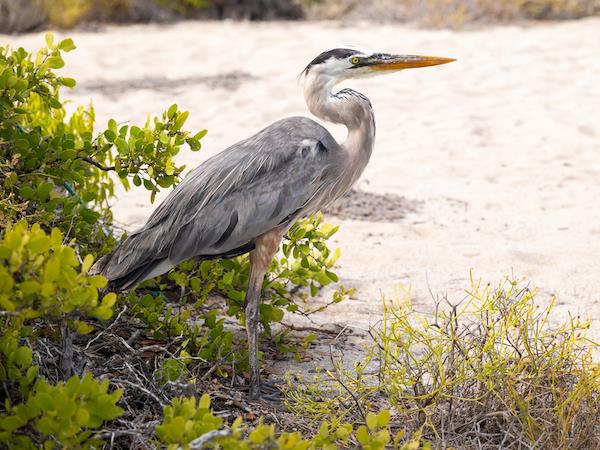Galapagos active adventure tour, land based