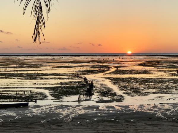 Pulau Rote island holiday in Indonesia