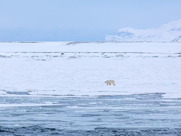 11 Day Introduction to Spitsbergen holiday