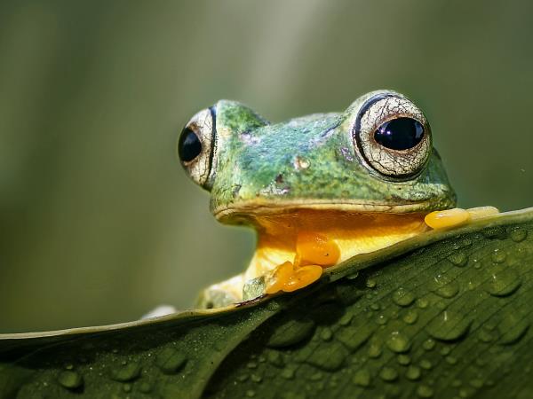 Borneo off the beaten track holiday