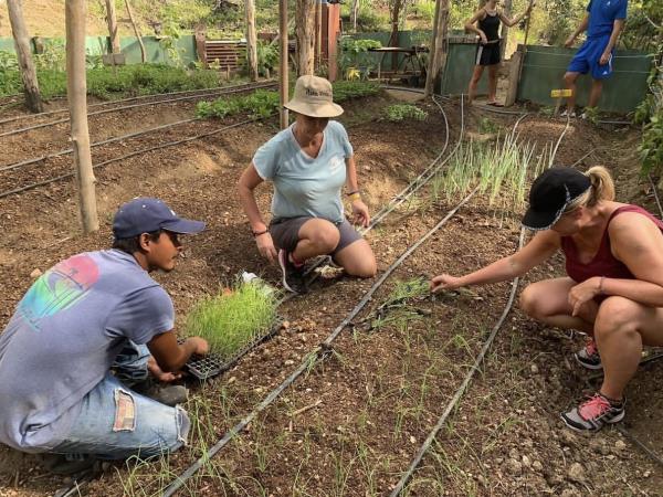 Volunteer with sea turtles in Costa Rica