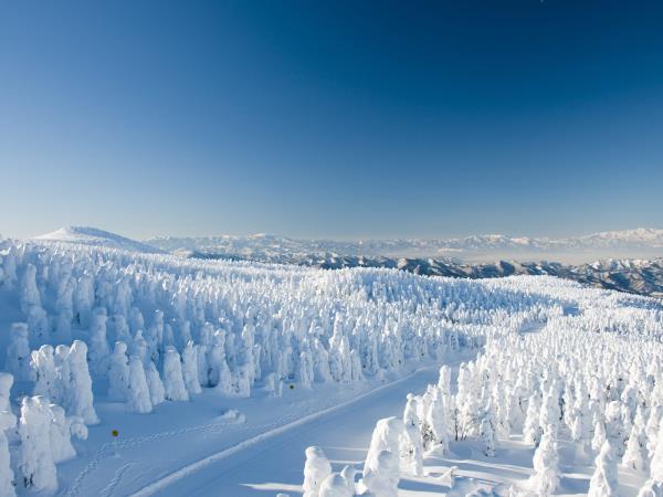 Japan luxury ski holiday