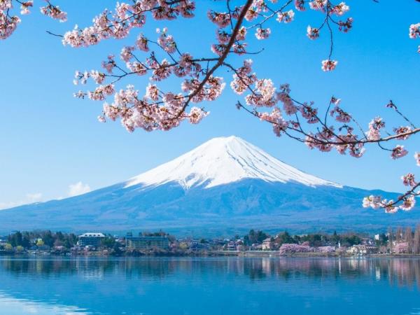 Best of Japan tour