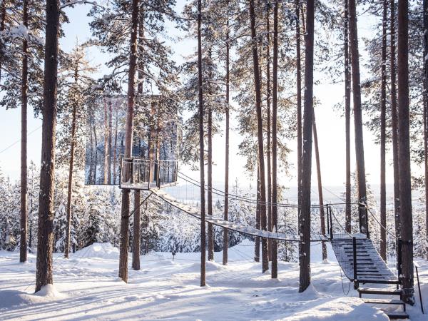 Treehouse Retreat in Swedish Lapland 