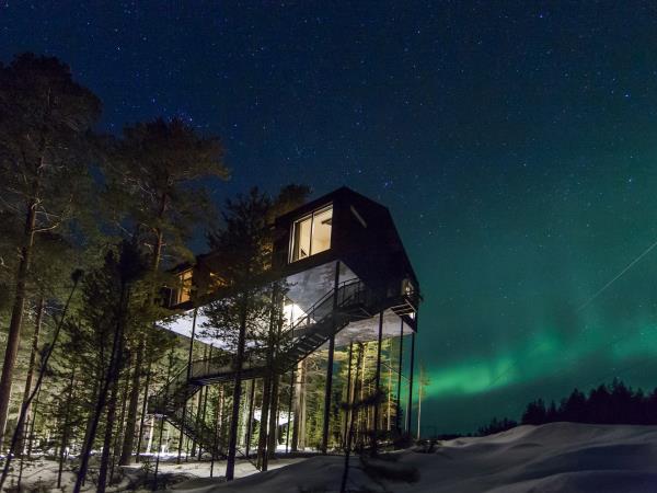 Treehouse Retreat in Swedish Lapland 