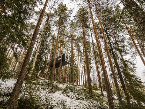 Treehouse Retreat in Swedish Lapland 