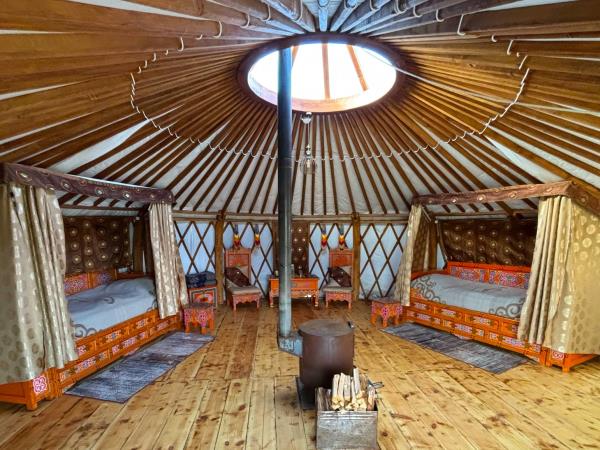 Yoga holiday in Mongolia 
