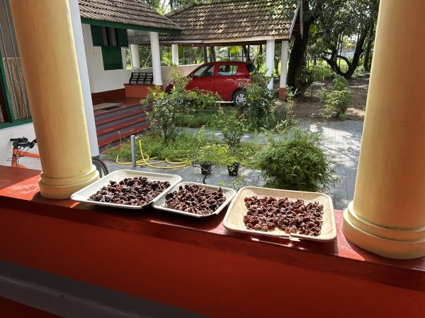 Cochin homestay accommodation, India