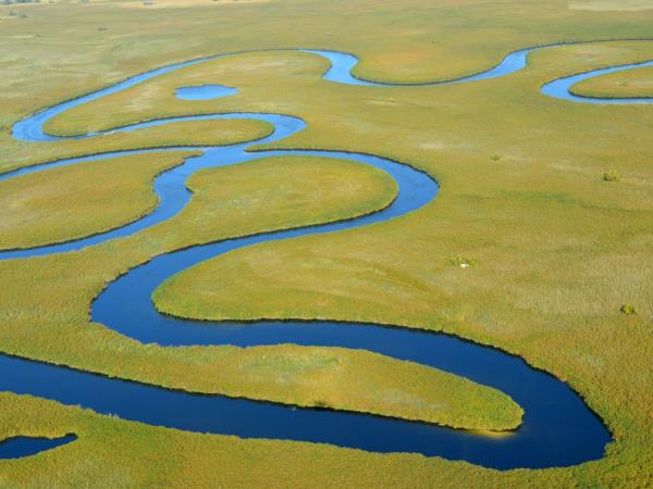 Botswana bush and beach honeymoon