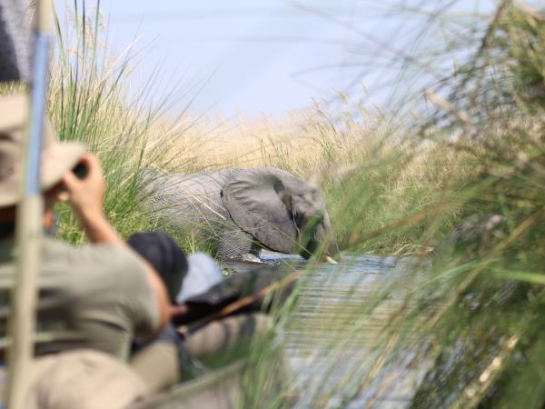 Okavango Delta safari holiday