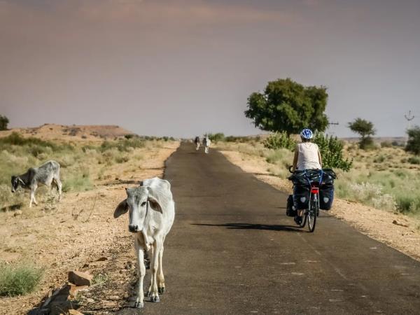 Rajasthan easy cycling holiday, India