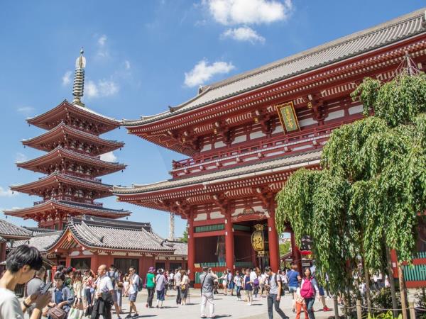 Japan small group holiday by bullet train
