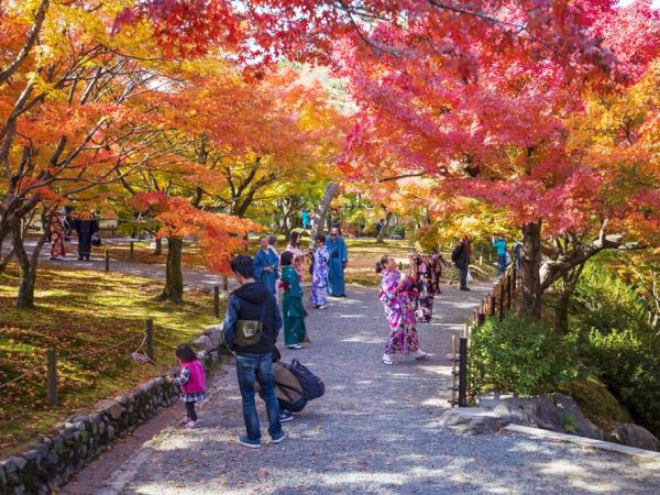 Japan small group holiday by bullet train