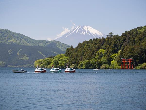 Japan small group holiday by bullet train