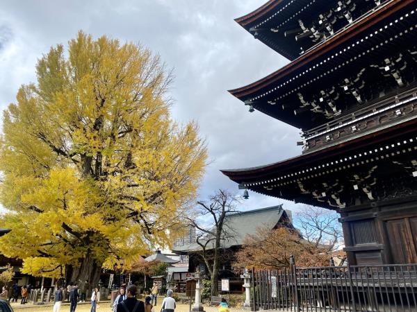 Japan small group holiday by bullet train