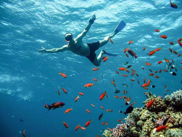 Egypt cultural holiday, small group