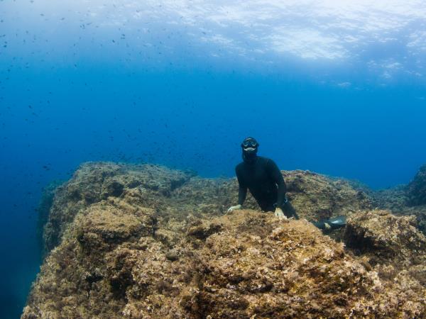 Sailing & freediving holiday in Croatia